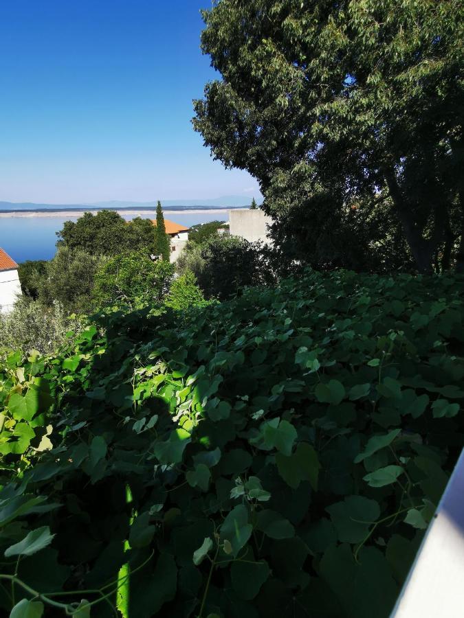 Balticadriatic Apartment Dramalj